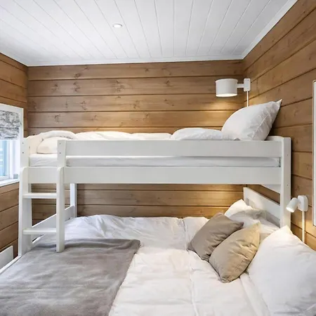 Flat In Myrkdalen Near Flam And The Fjords *