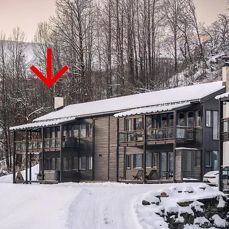 Flat In Myrkdalen Near Flam And The Fjords * Vossestrand