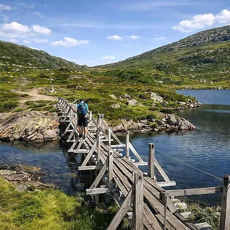 Flat In Myrkdalen Near Flam And The Fjords *