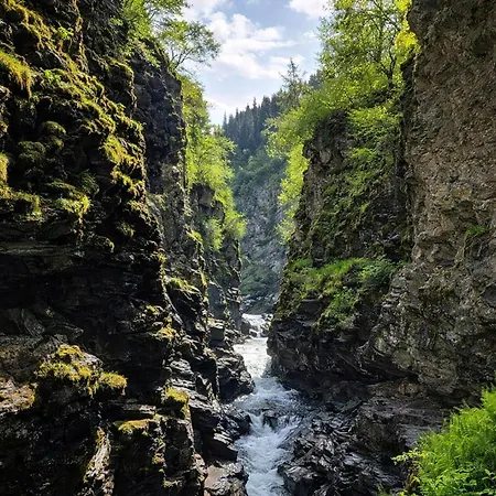 Flat In Myrkdalen Near Flam And The Fjords